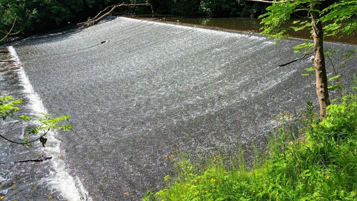 weir park weir